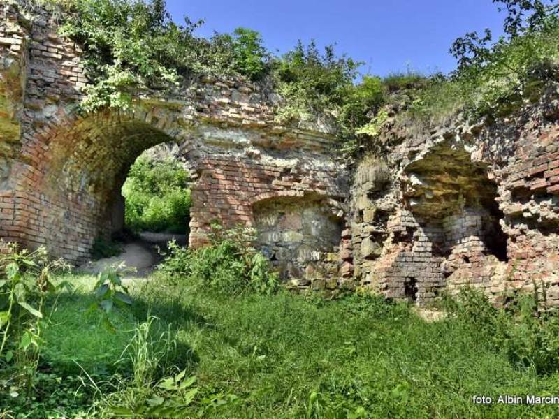 Zamek w Tarnowie na Górze Świętego Marcina